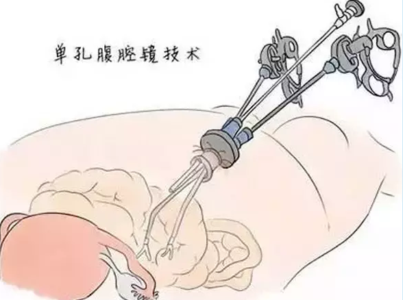 微信截图_20200727095836.png